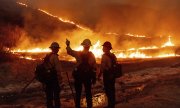 Environ 11 000 hectares ont été dévastés par les incendies. (© picture alliance/ASSOCIATED PRESS/Ethan Swope)