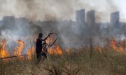 Les feux de forêts constituent un danger croissant en Europe, comme ici, à proximité de l'aéroport de Sofia. (© picture alliance/NurPhoto/Hristo Vladev)