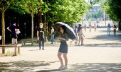 People take refuge from the heat in the Jardin des Tuileries in Paris on 25 May 2025. (© picture alliance / NurPhoto Adnan Farzat)