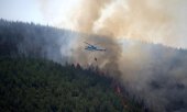 Woodland on fire in León, Spain, 8 July 2026. (© picture alliance / Anadolu / Samuel de Roman)