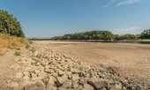 The dry bed of the Rhine River near Germersheim in early August 2026. (© picture-alliance/Zoonar/Conny Pokorny)